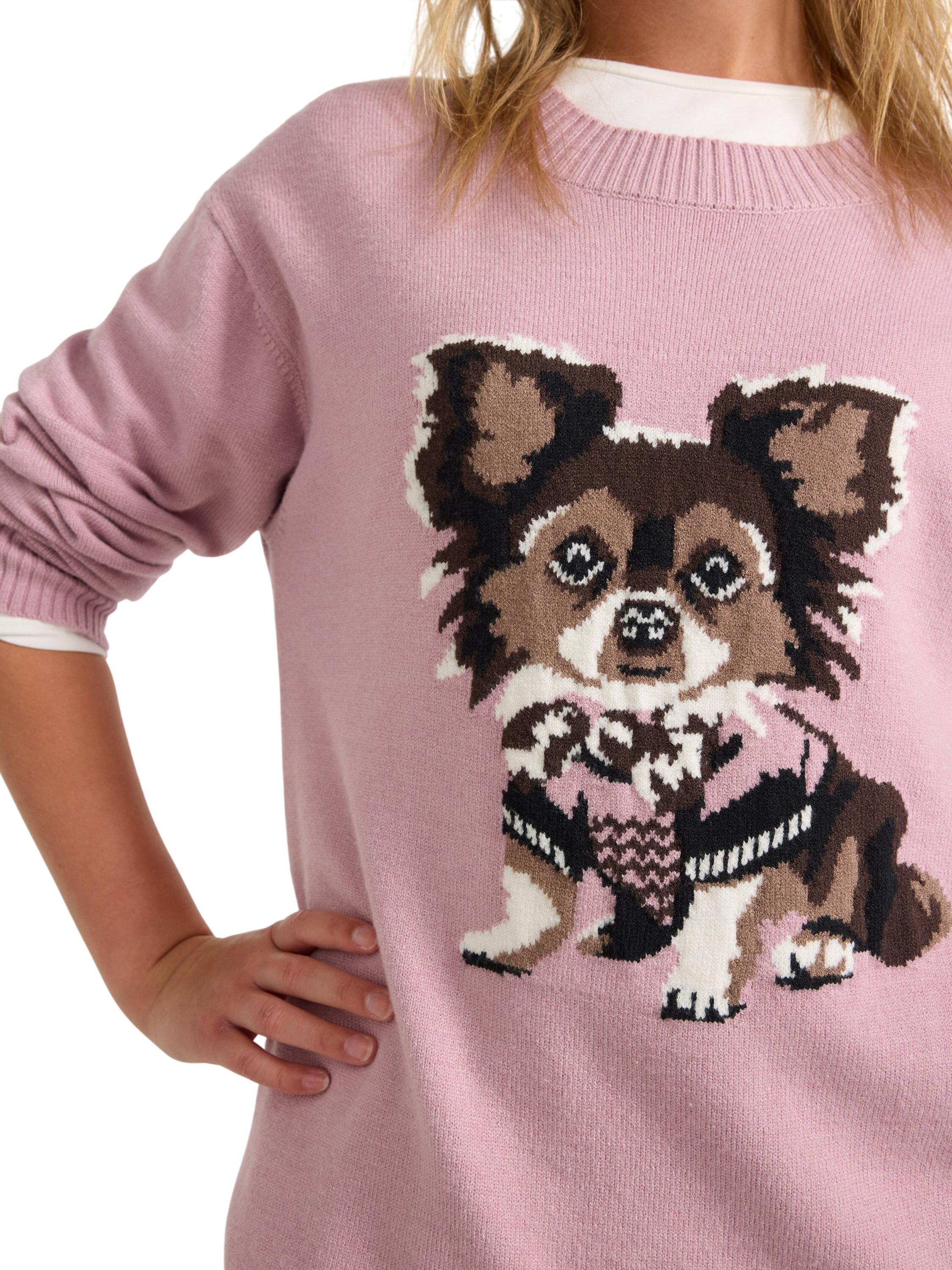 Sweater knitted placement inta