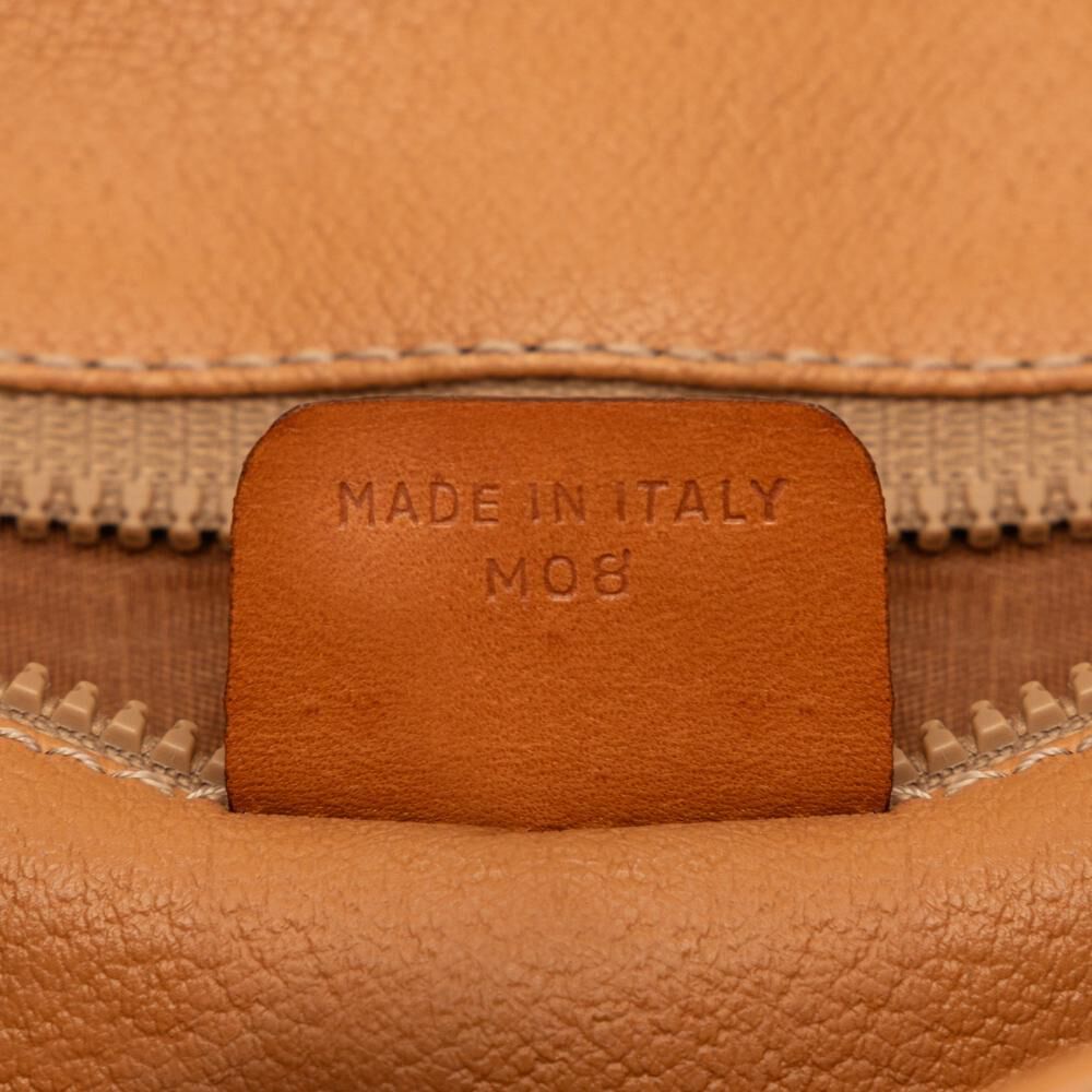 Celine Crossbody Bag