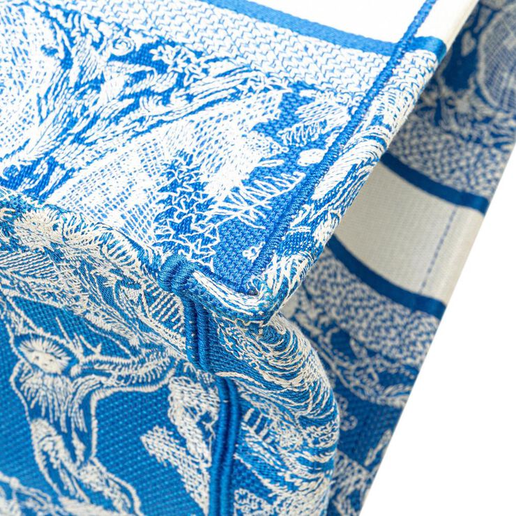 Dior Book Tote