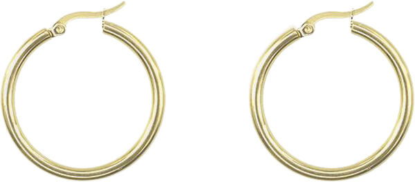 Basic small earrings