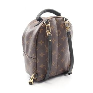 Louis Vuitton Palm Springs