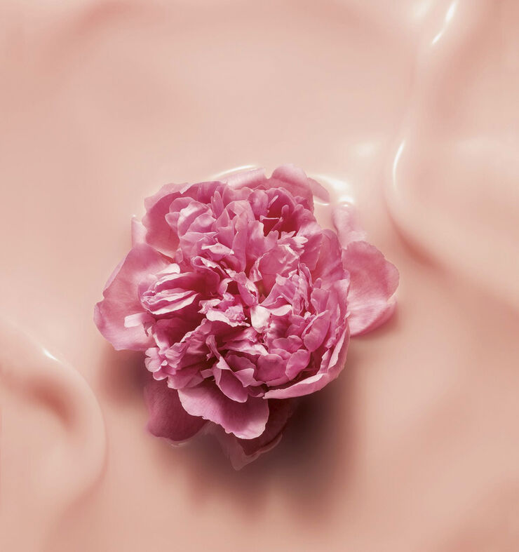 SkE AP Gold.Ag A-Ag Cr Rosy