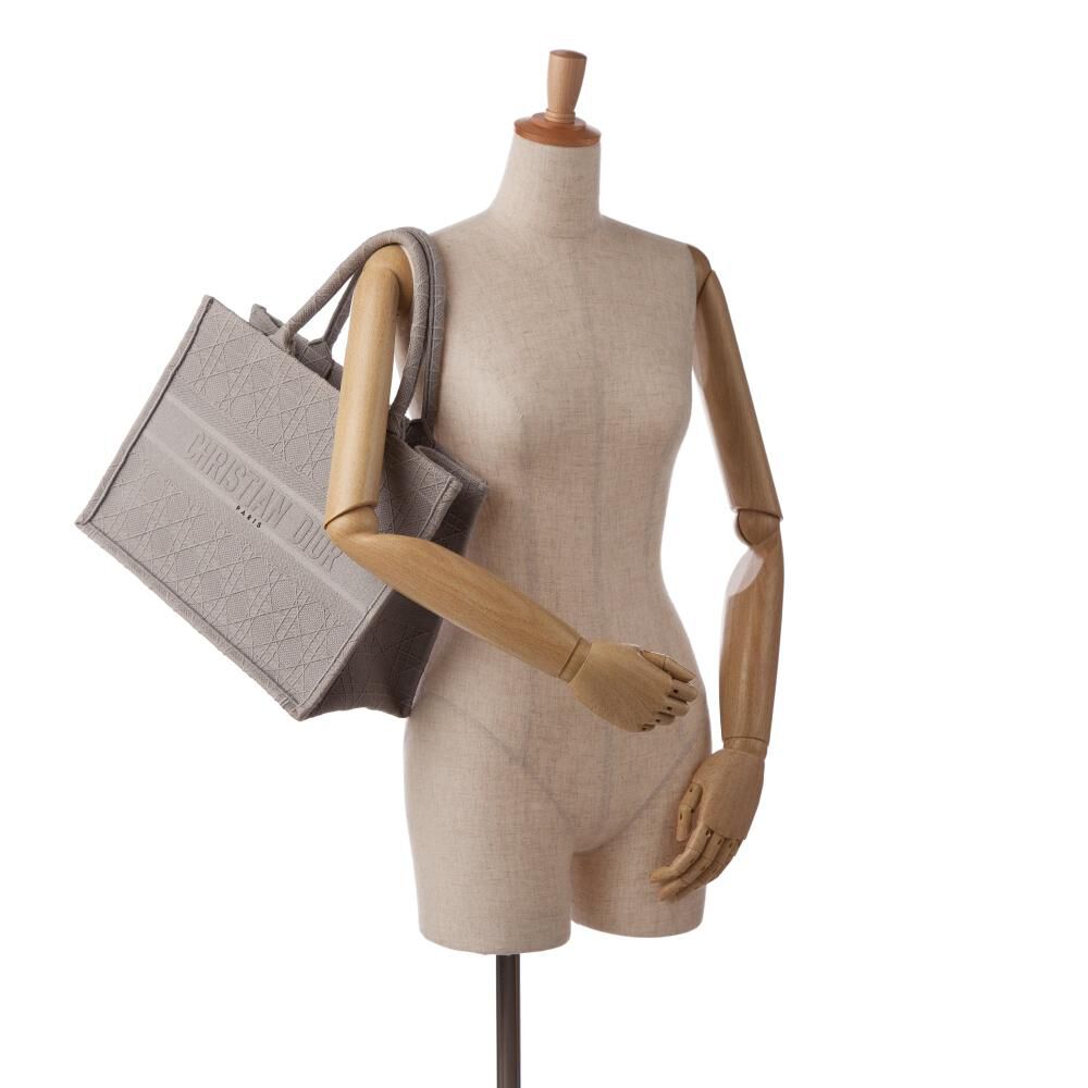 Dior Book Tote