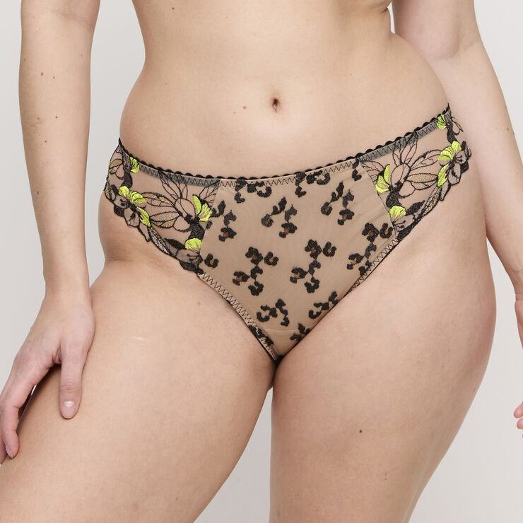 Manali rio briefs