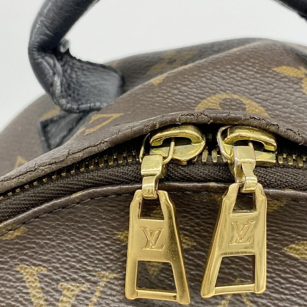 Louis Vuitton Palm Springs