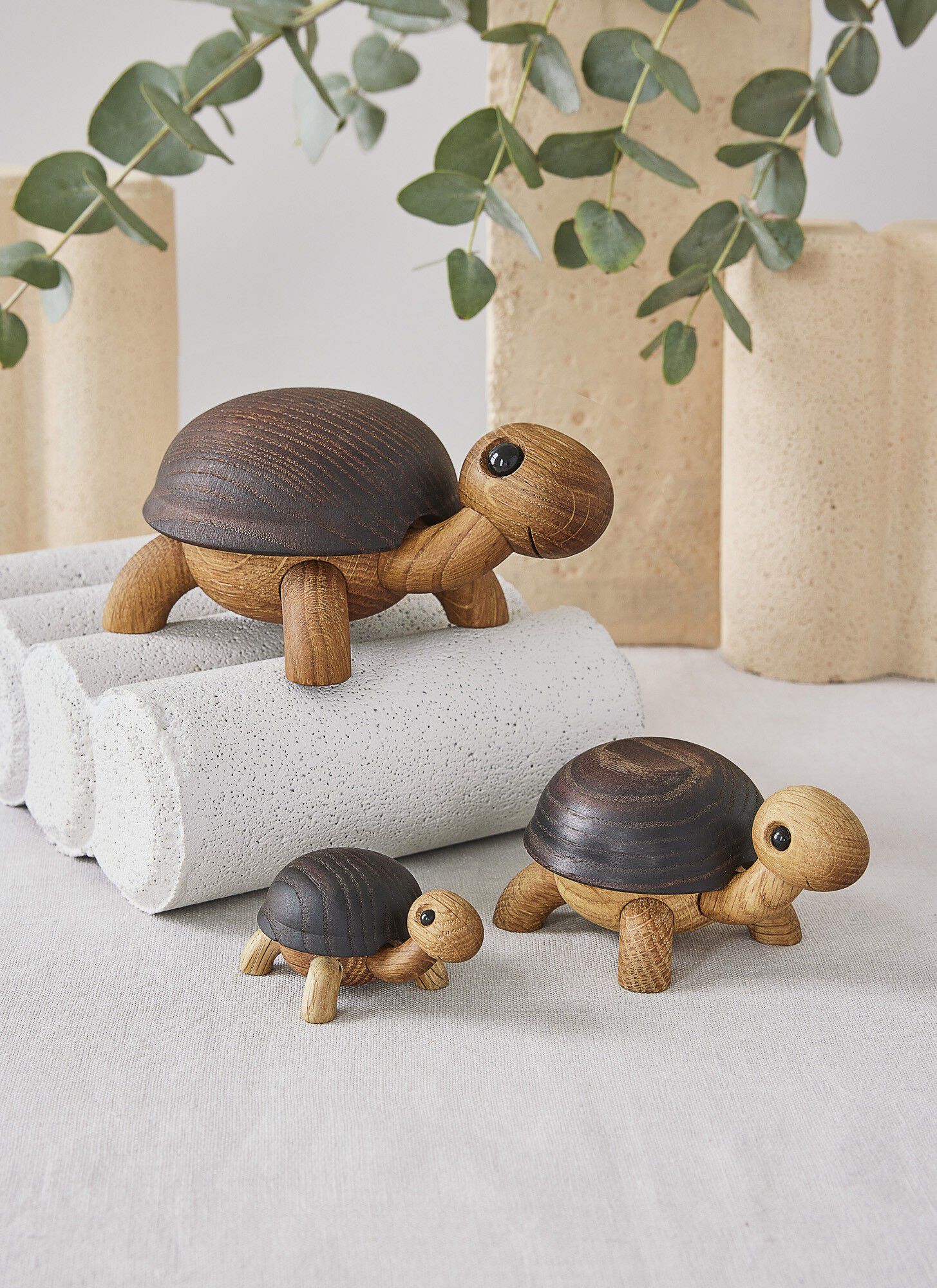 Speedy, skildpaddeunge