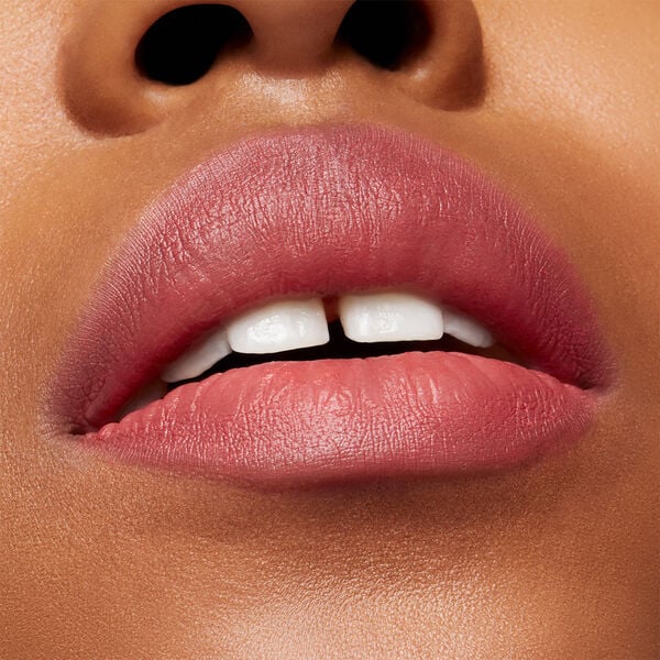 Powder Kiss Velvet Blur Slim Stick