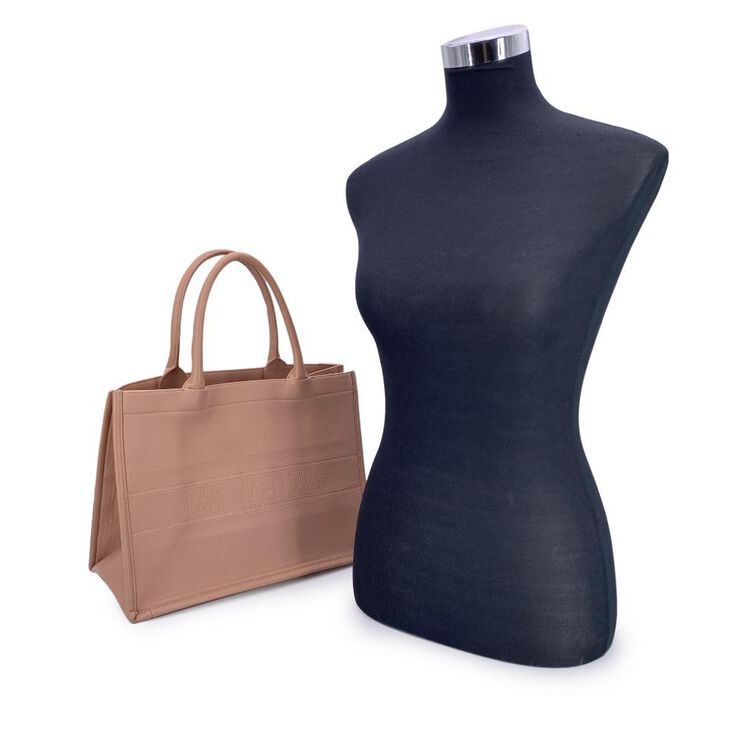 Dior Book Tote