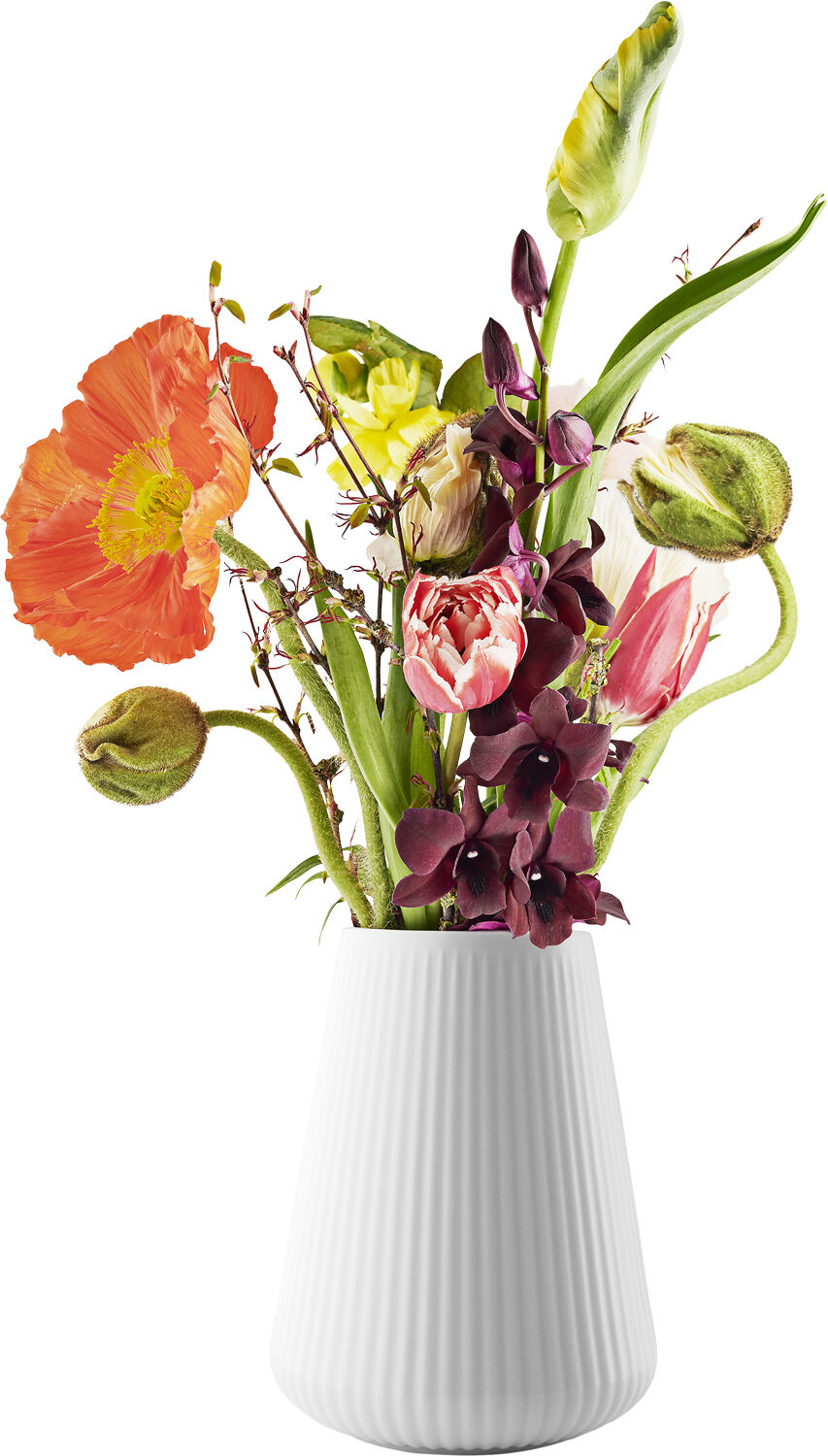 Legio Nova Vase 17 cm