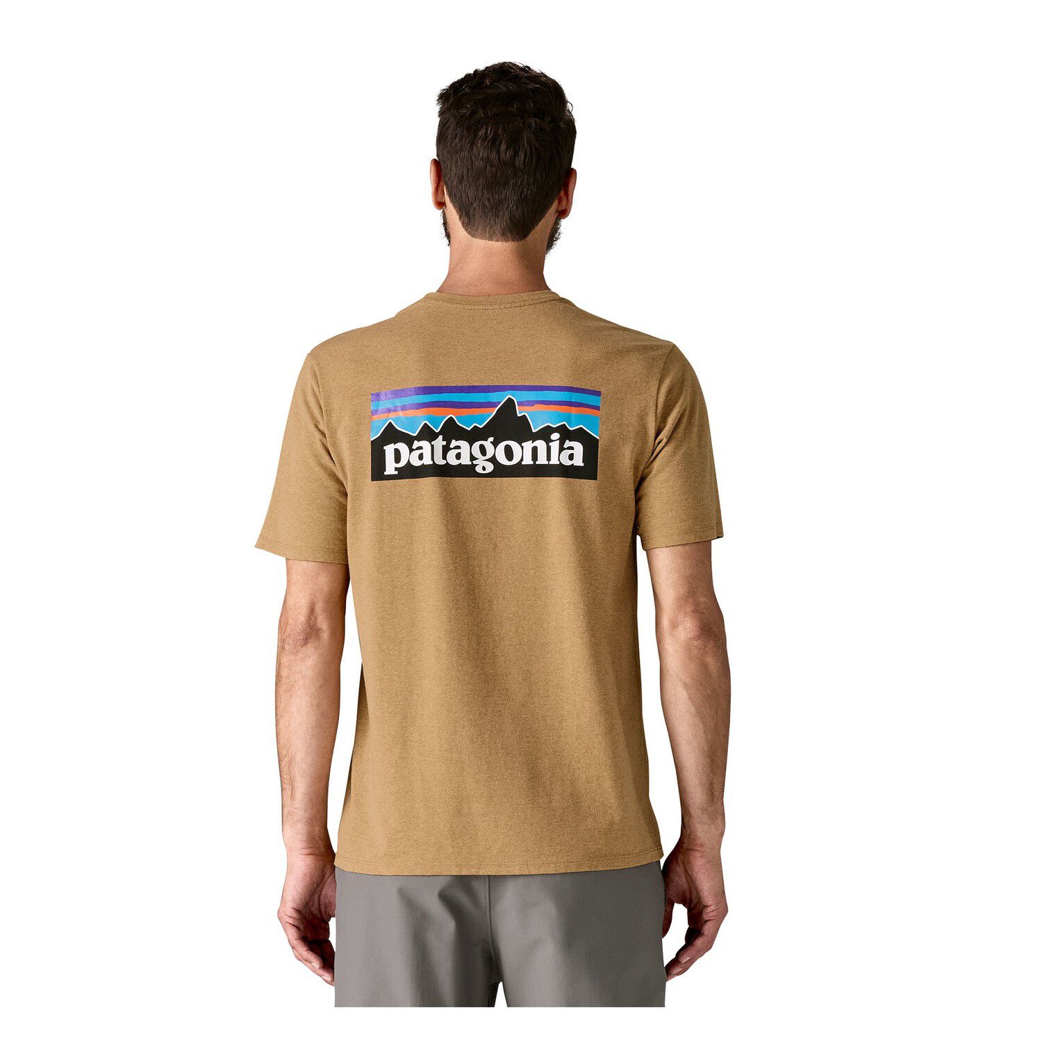 Patagonia P-6 Logo Responsibili-Tee, herre