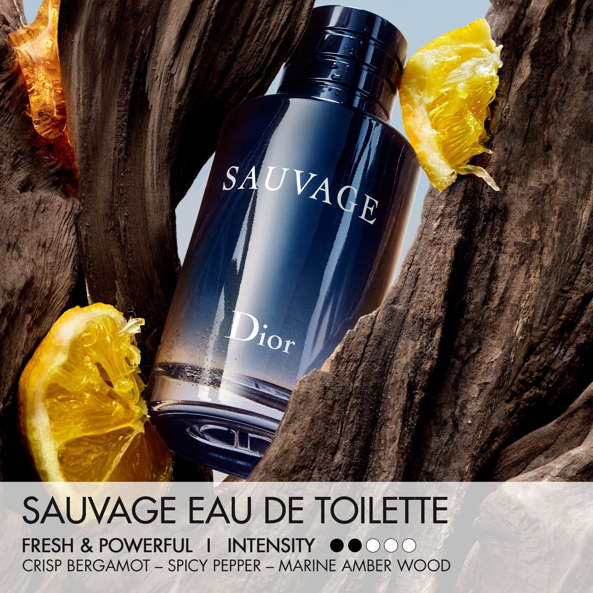 Sauvage Edt Travel Spray30ML INT25