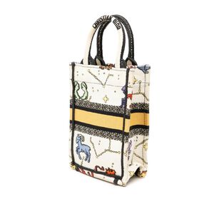 Dior Book Tote