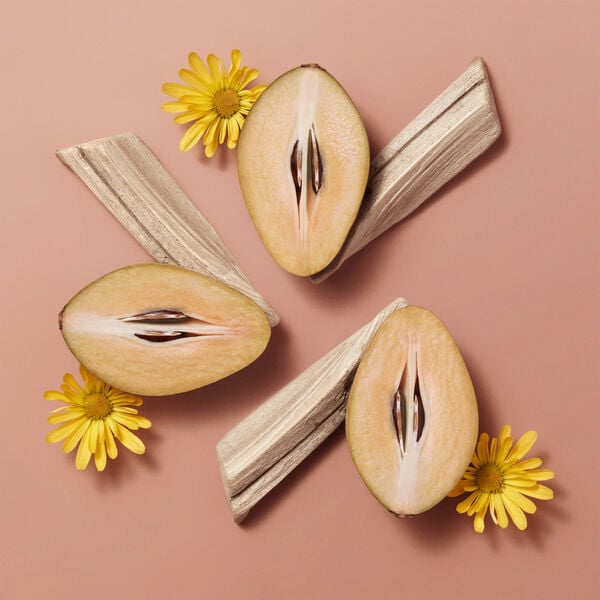 Hermèsistible, Infused Care Oil