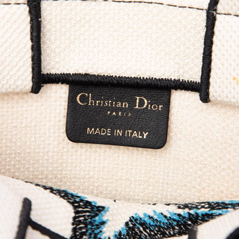 Dior Book Tote