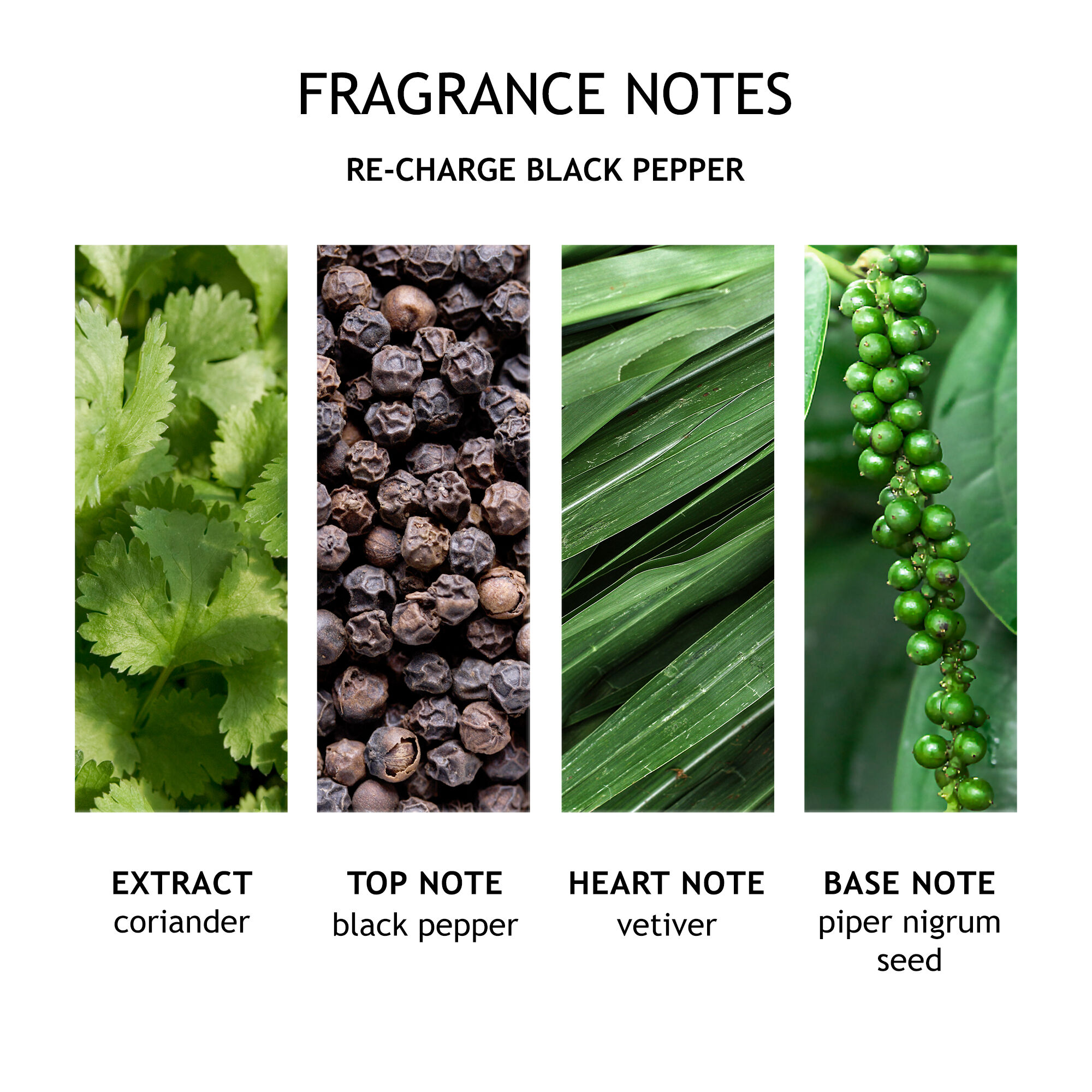 Re-charge Black Pepper Bath & Shower Gel