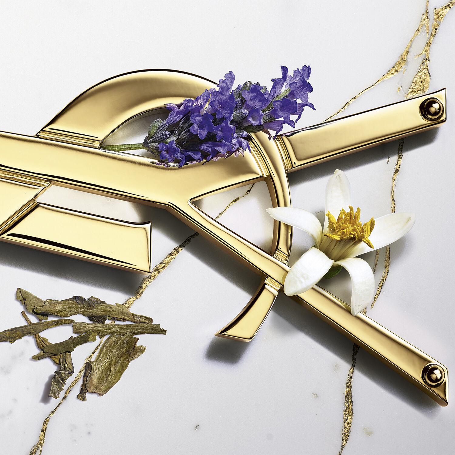 Yves Saint Laurent Libre Eau de Toilette