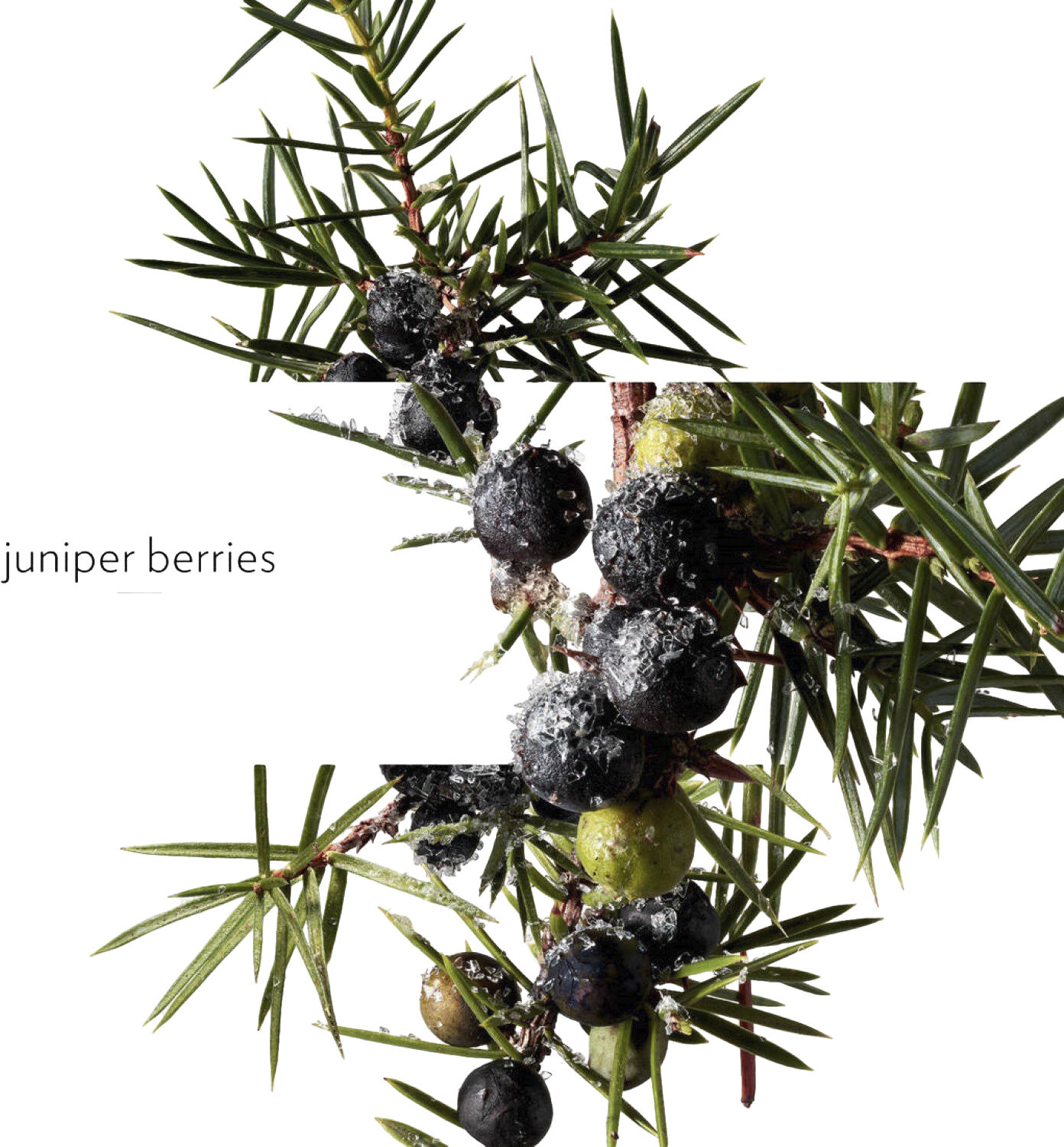 TERRE D'HERM&Egrave;S EAU GIVR&Egrave;E EAU DE PARFUM