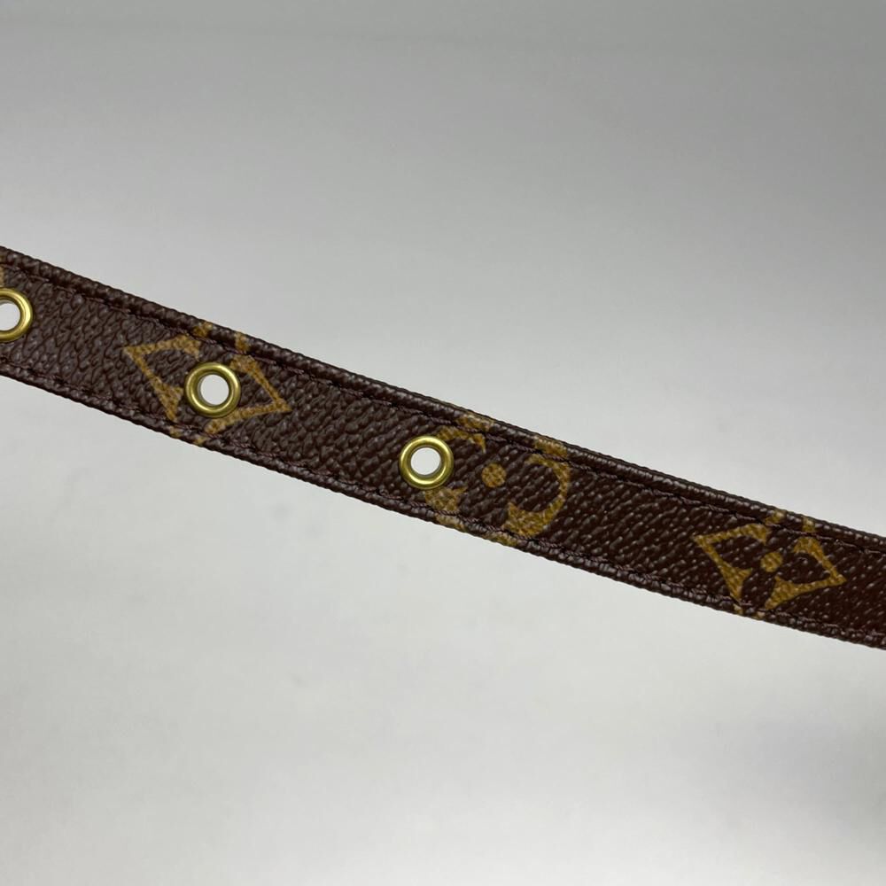 Louis Vuitton Amazone