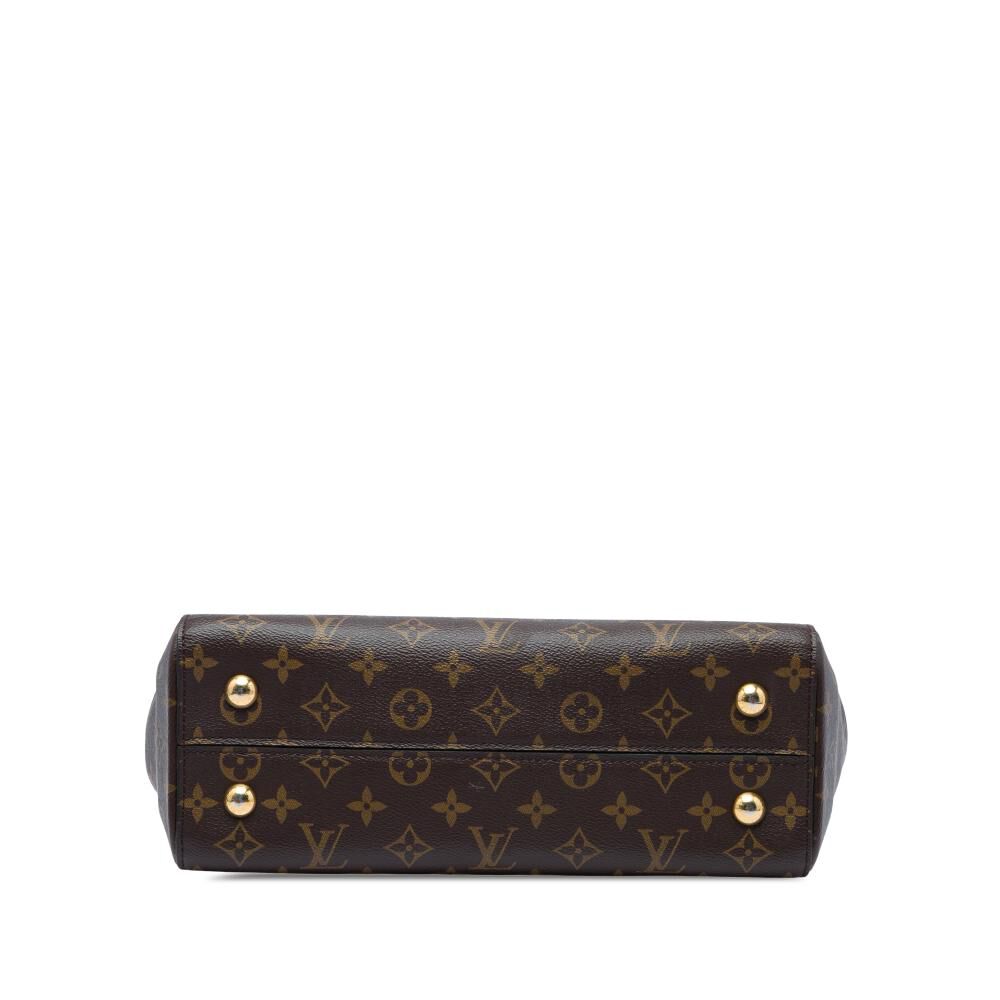 Louis Vuitton Cluny