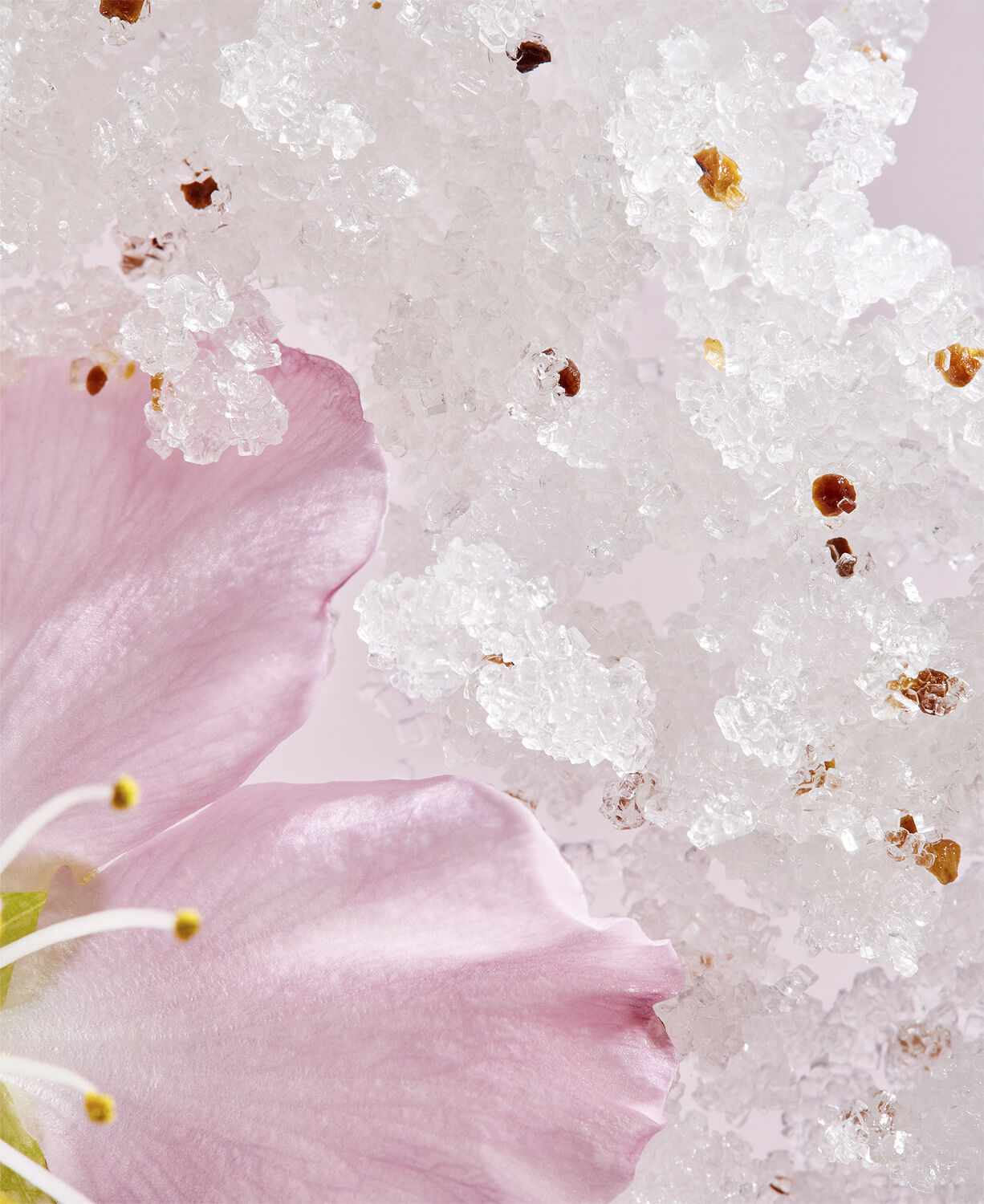 The Ritual of Sakura Body Scrub