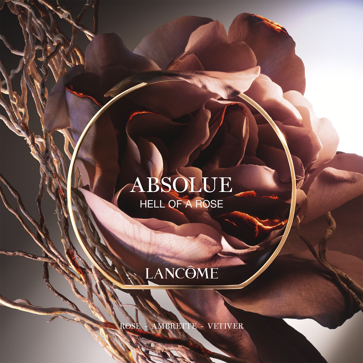 Absolue Les Parfums HELL OF A ROSE Eau de Parfum