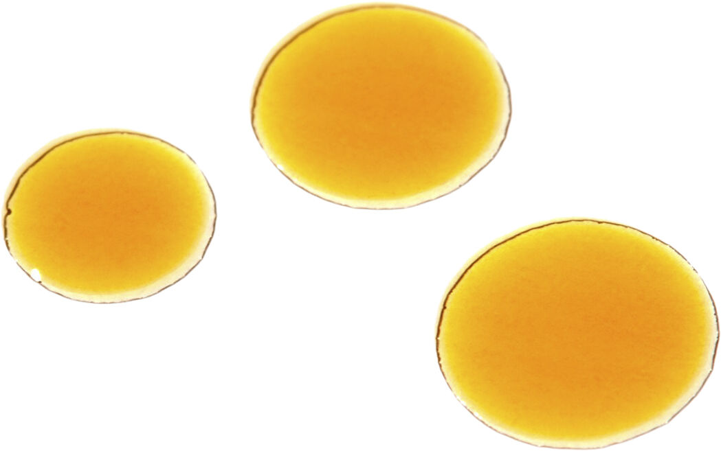 ROSEHIP BIOREGENERATE OIL 10ML