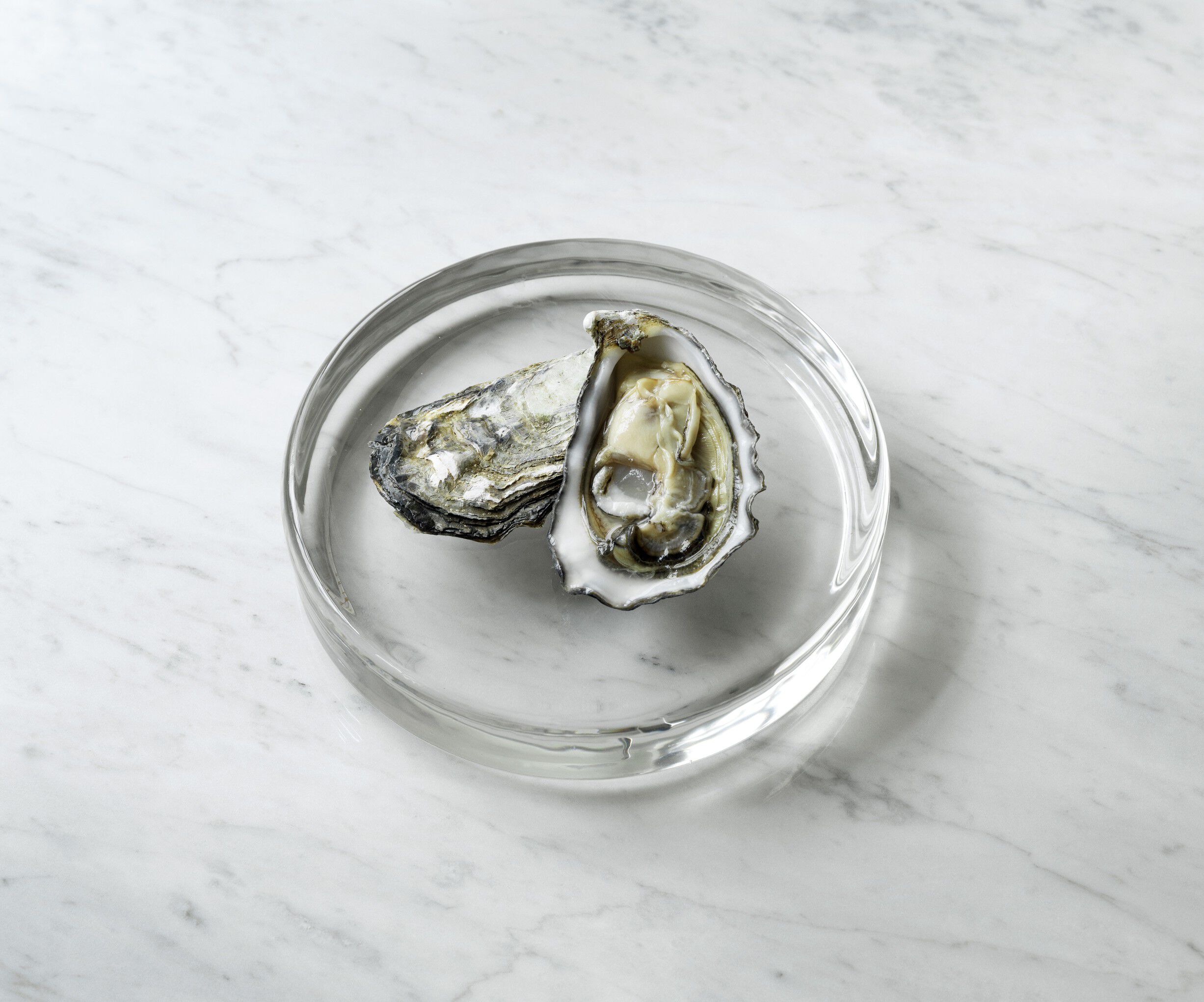 Mass Dish �17 Glass