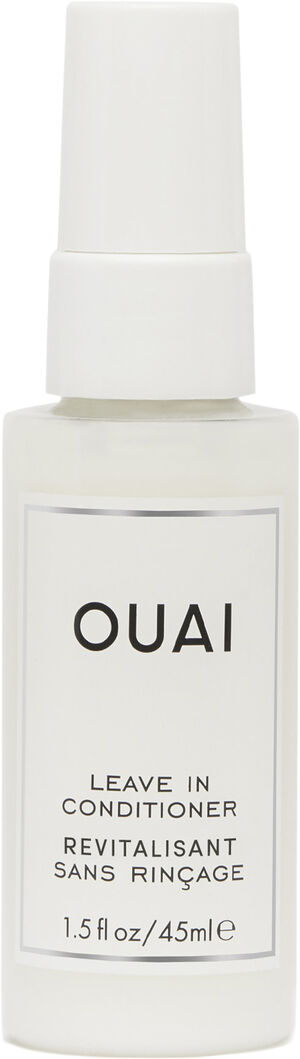 Leave In Conditioner Travel