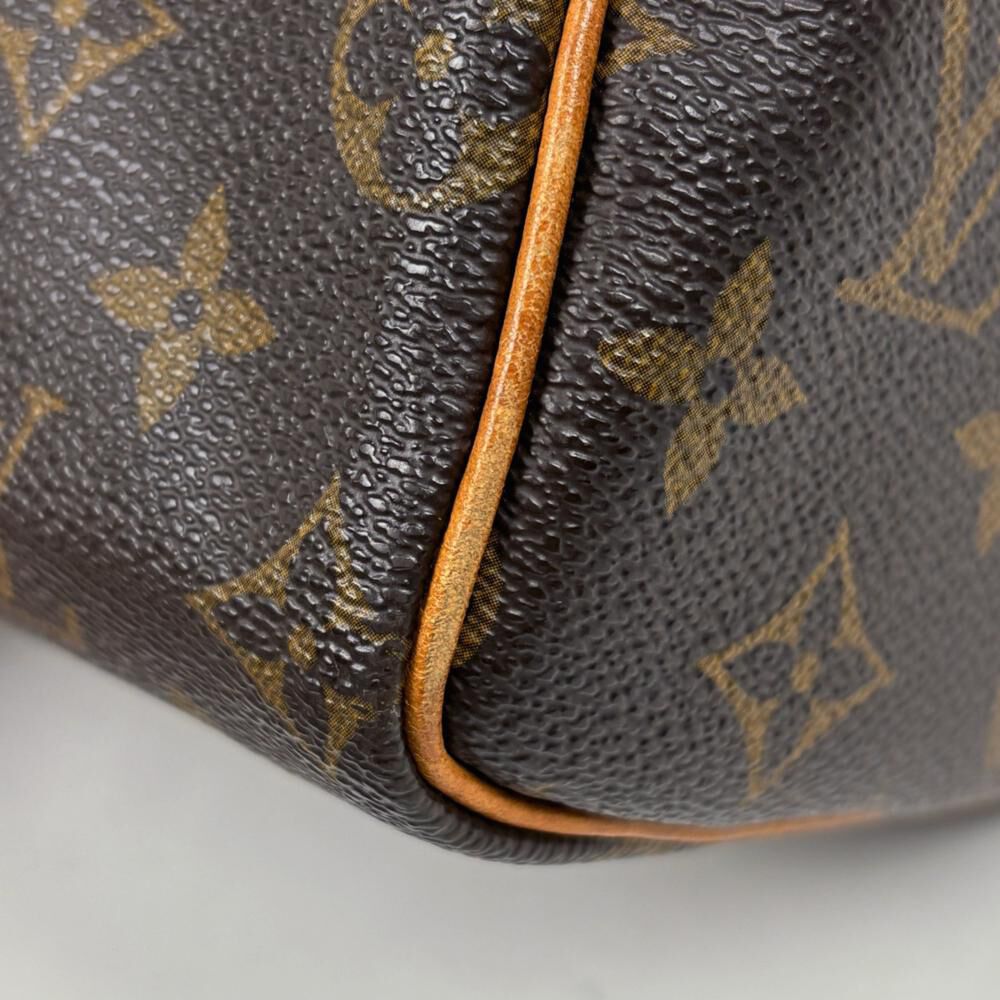 Louis Vuitton Speedy