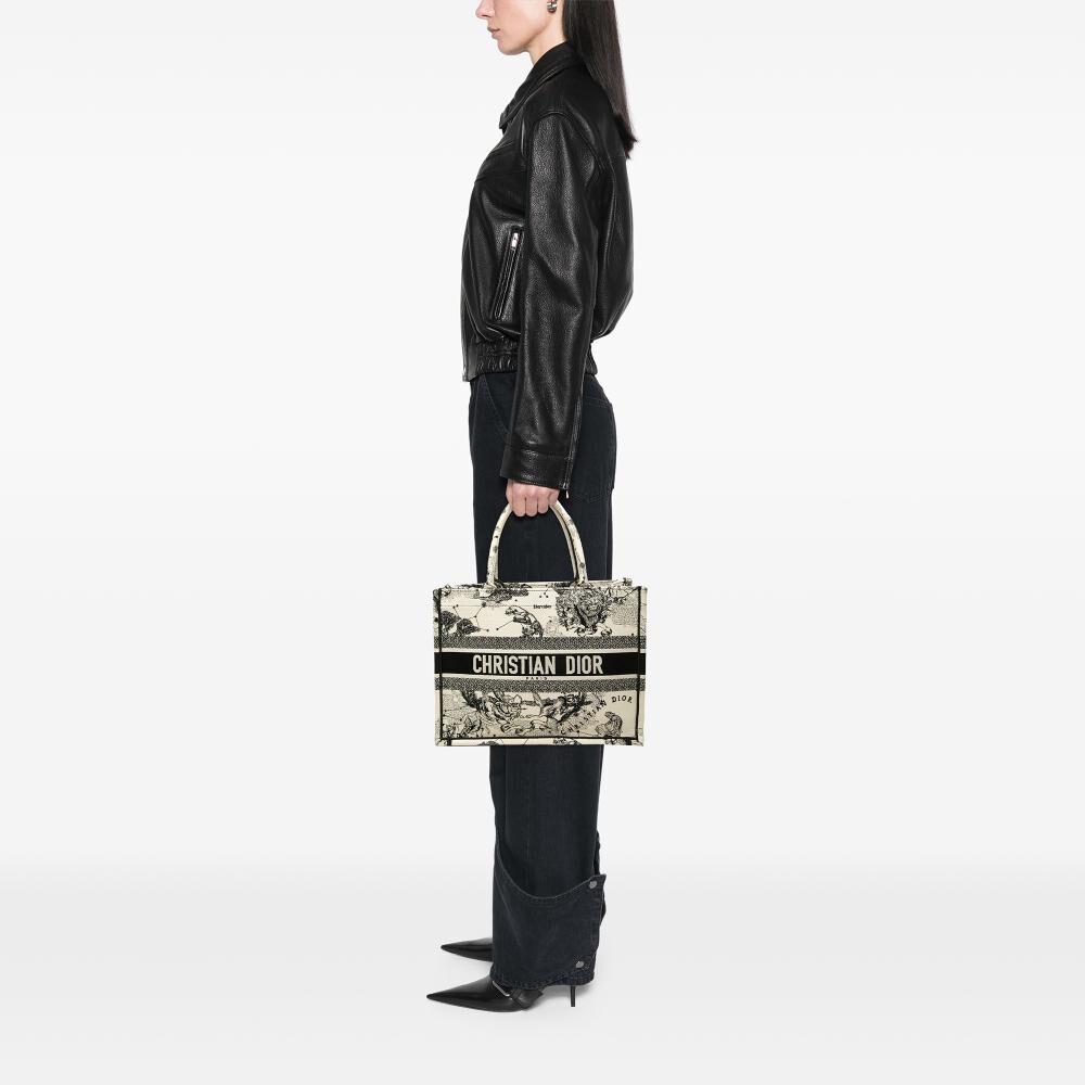 Dior Book Tote