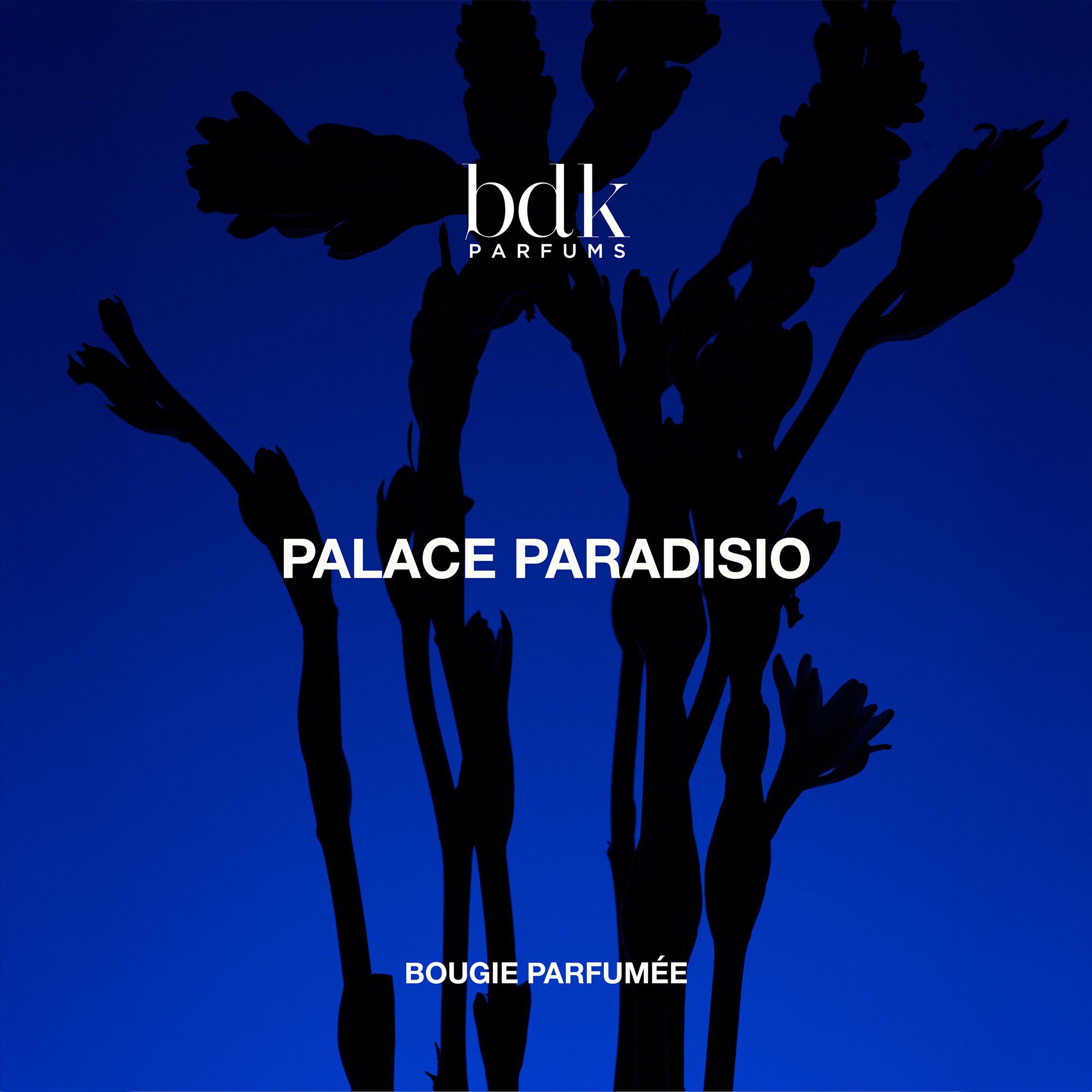 BDK PALACE PARADISIO - BOUGIES 250G
