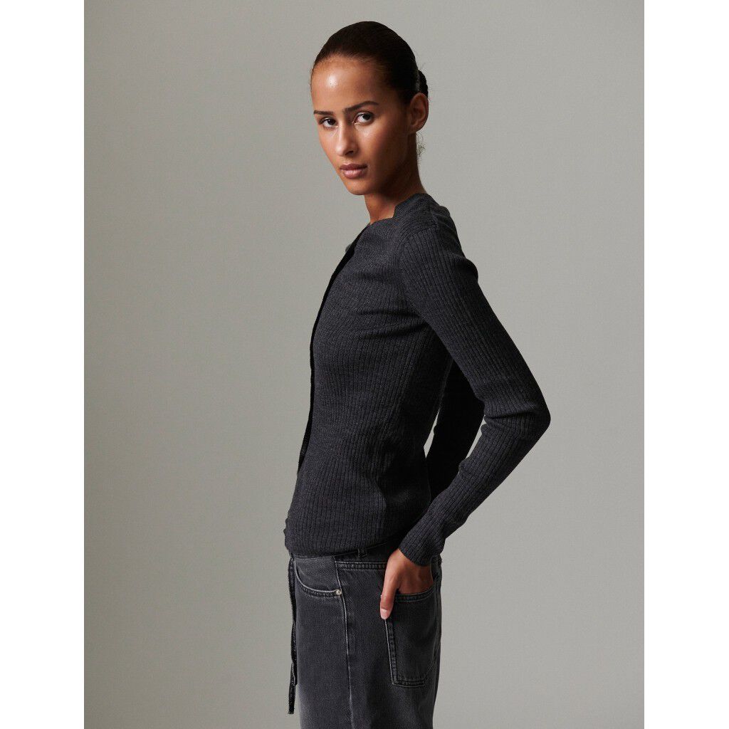 Dixon - daily elements