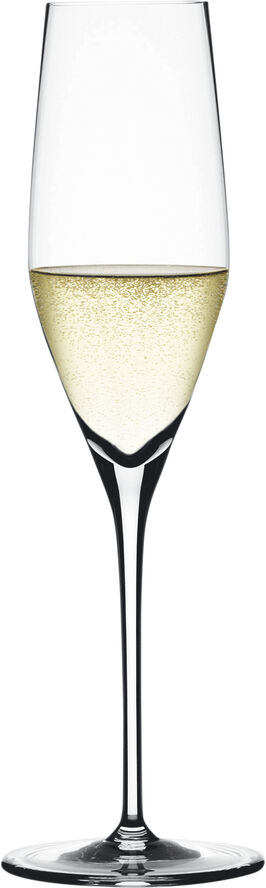 Authentis 4 stk. champagneglas