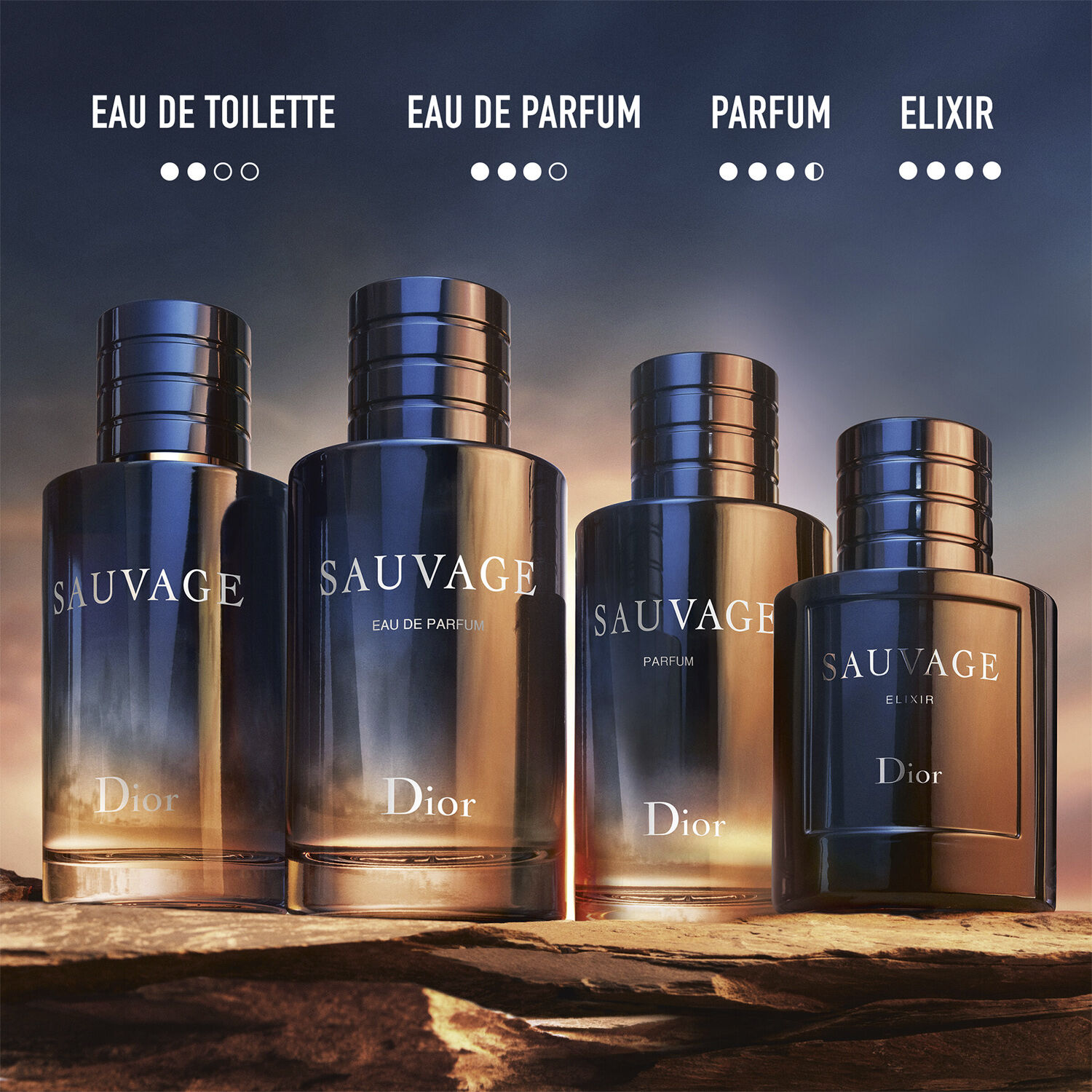 Sauvage Elixir Eau de parfum