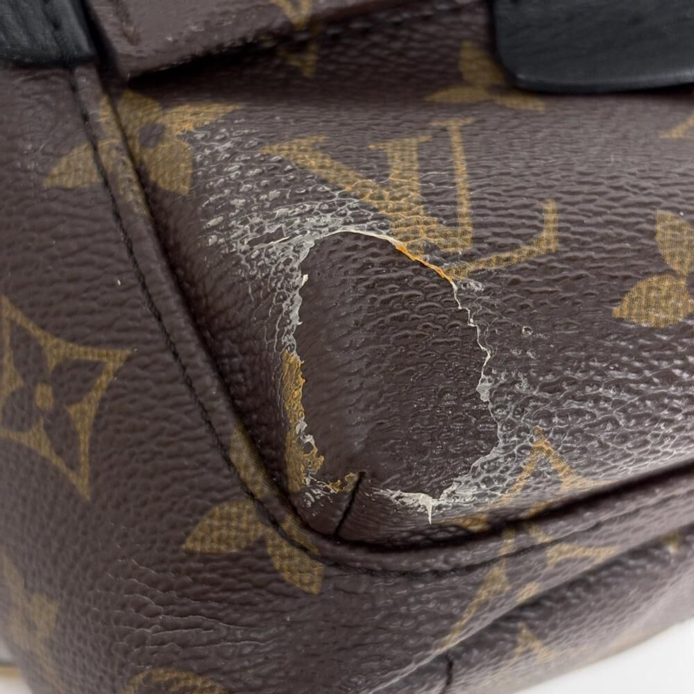 Louis Vuitton Palm Springs