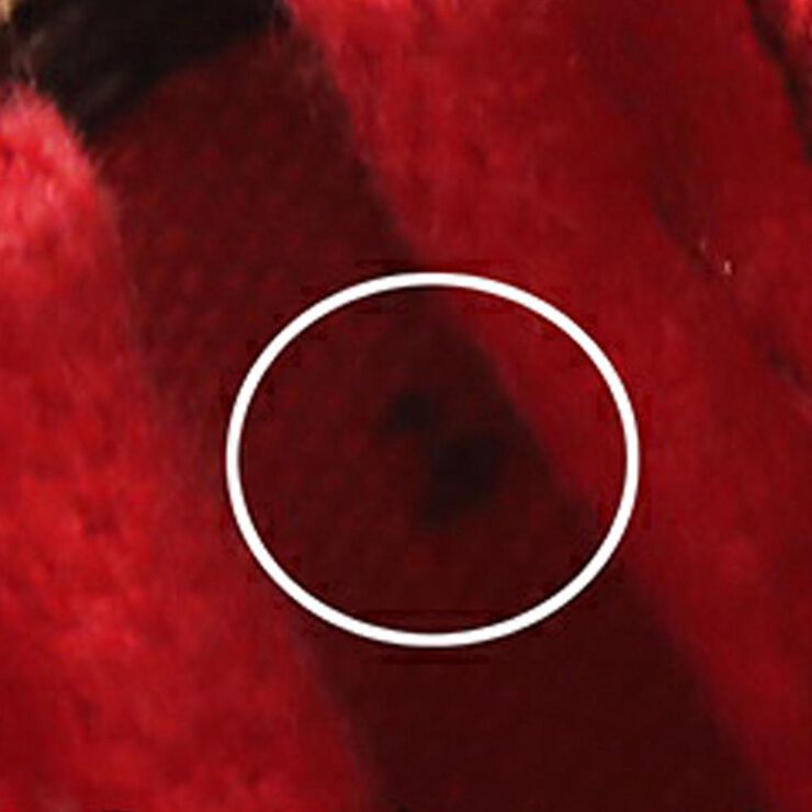 Louis Vuitton Pochette Accessoires