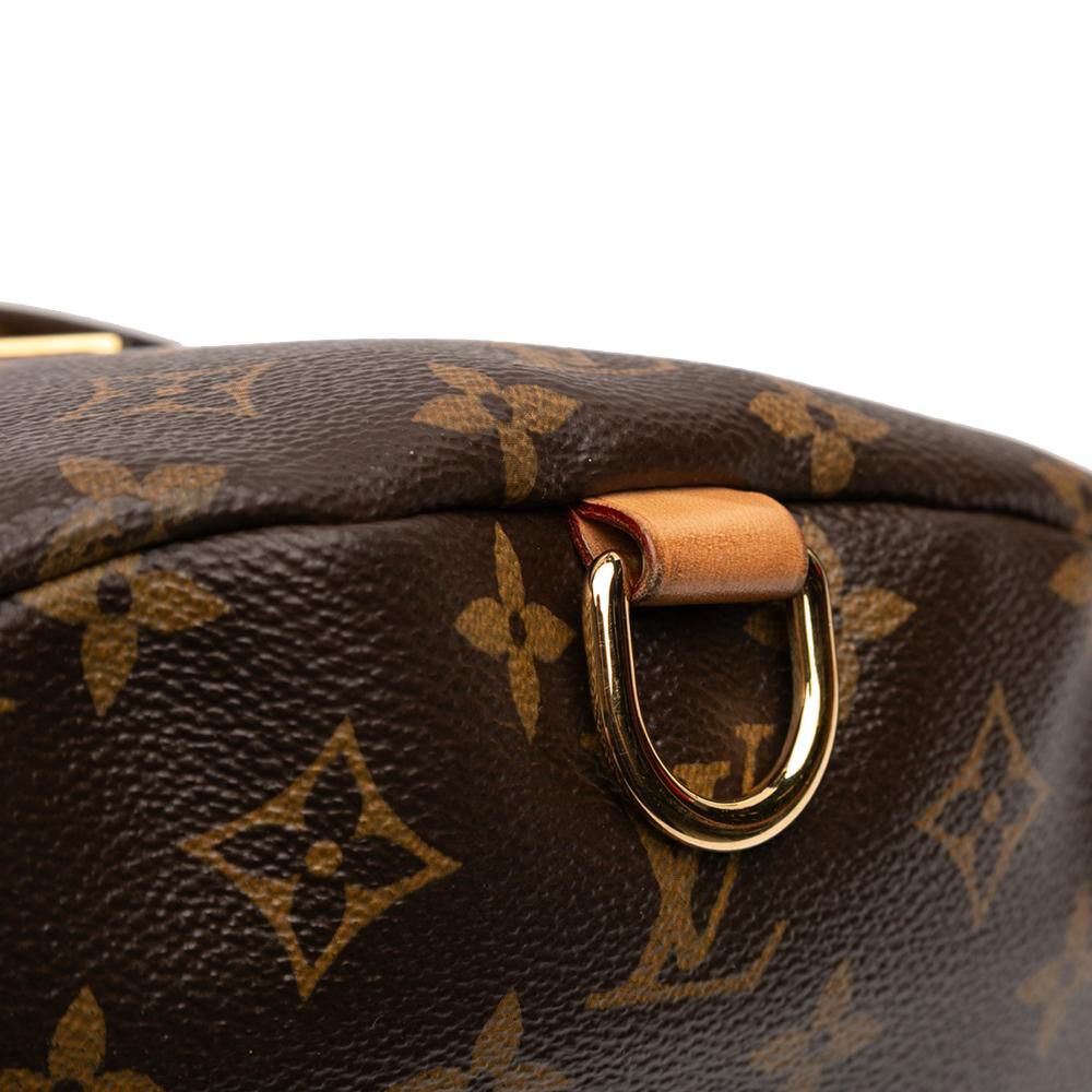 Louis Vuitton Bumbag