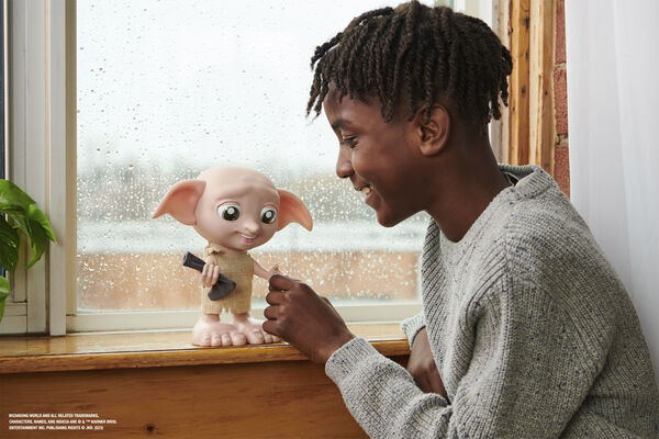 Harry Potter Interactive