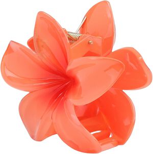 Plumeria Bella Big