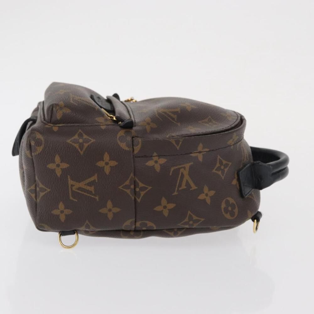 Louis Vuitton Palm Springs