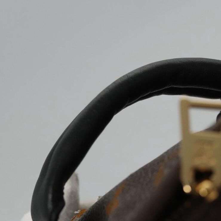 Louis Vuitton Palm Springs