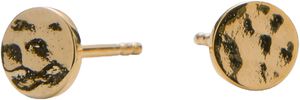 Dot Earsticks