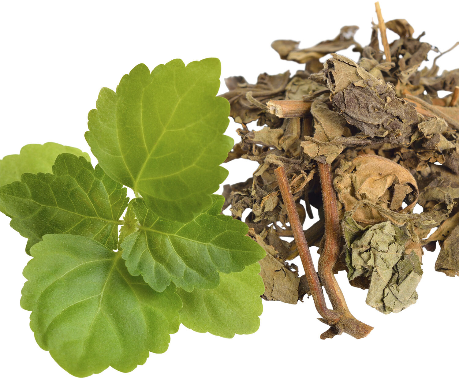 Eros Homme Energy Eau de parfum spray 200. 0 ML