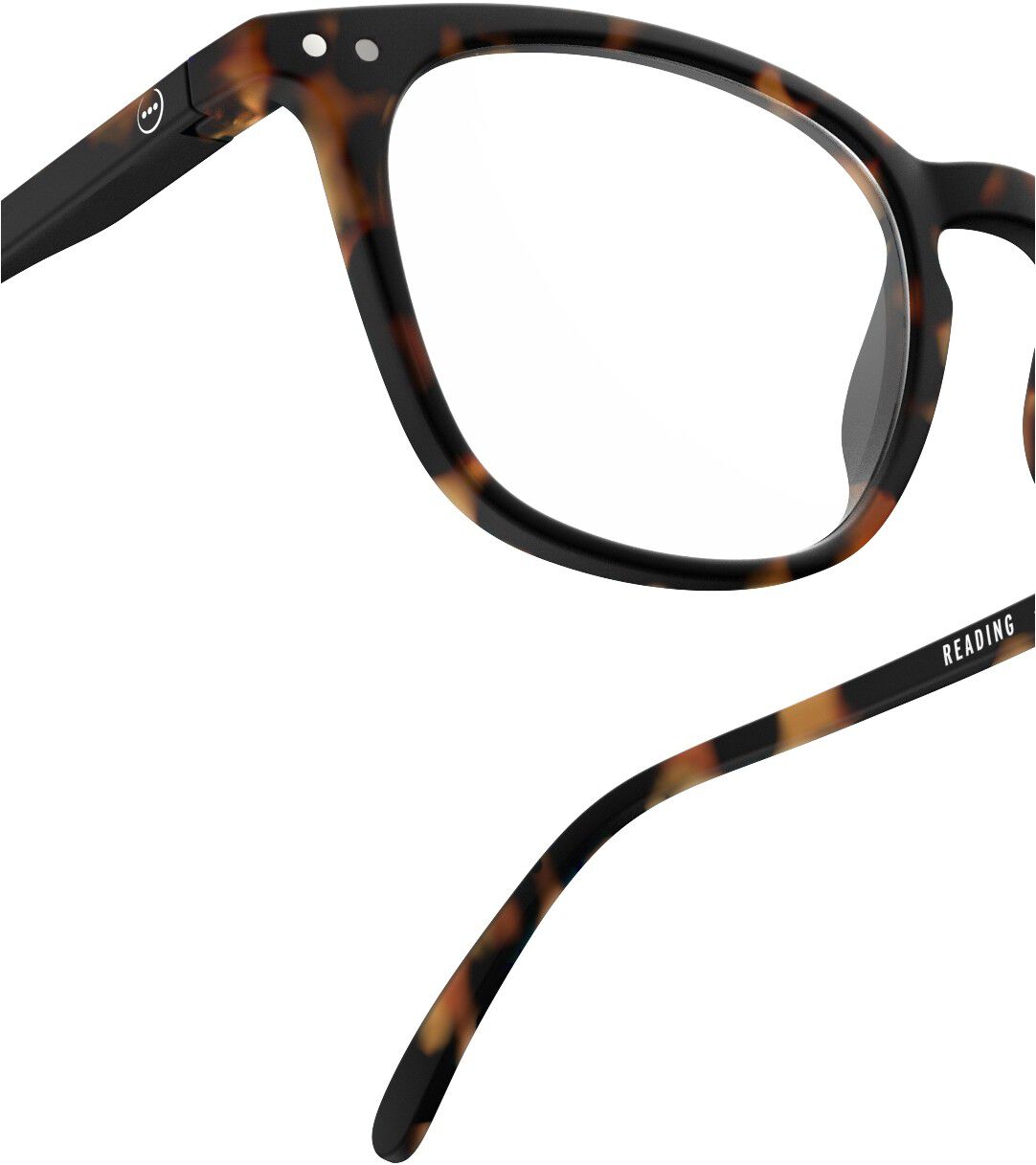 READING #E Tortoise Soft