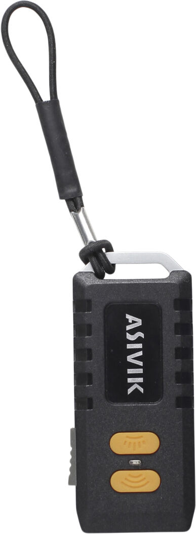 ASIVIK Lightbank 9900