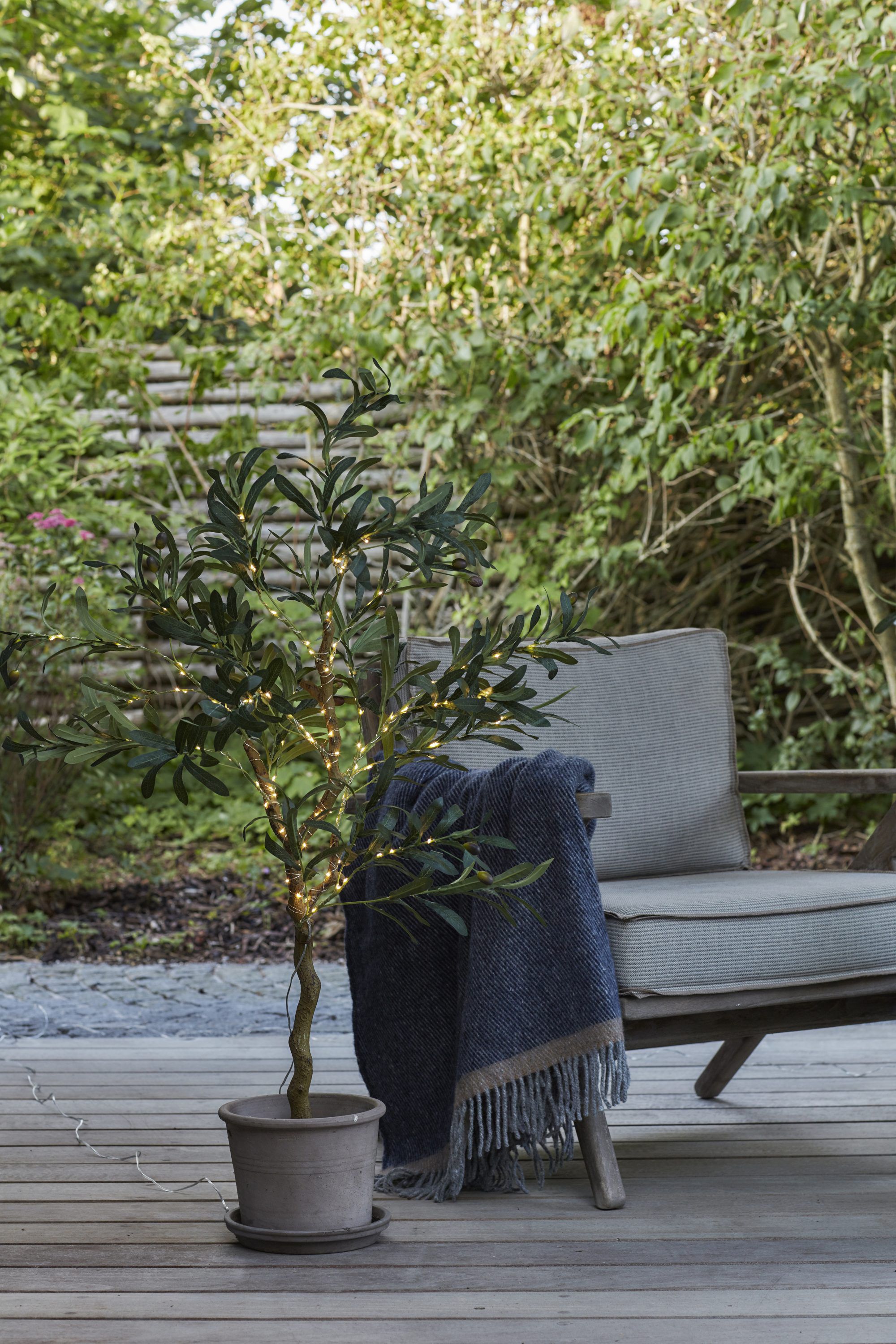 Oliva, Oliventr&aelig;, 1. 2M, 120LED,