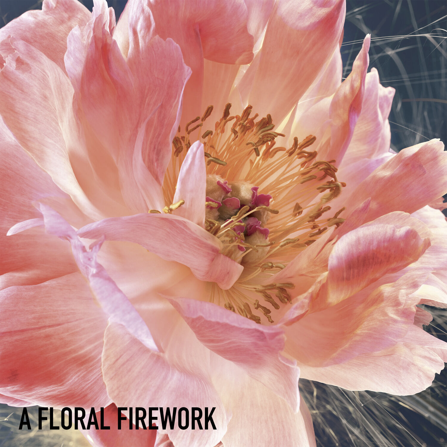 JOY by Dior Eau de parfum Intense