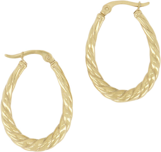 Oval twisted pattern earrings