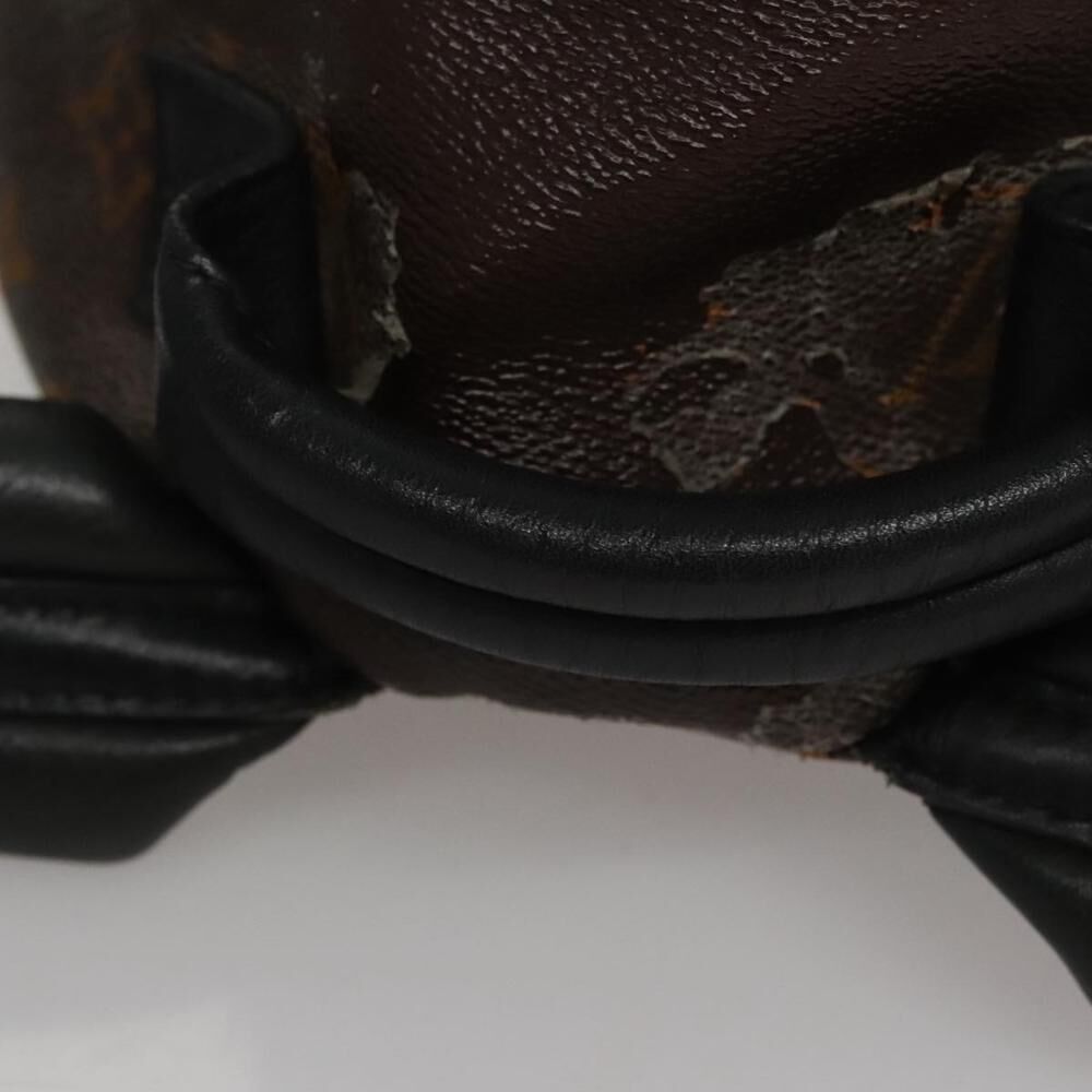 Louis Vuitton Palm Springs