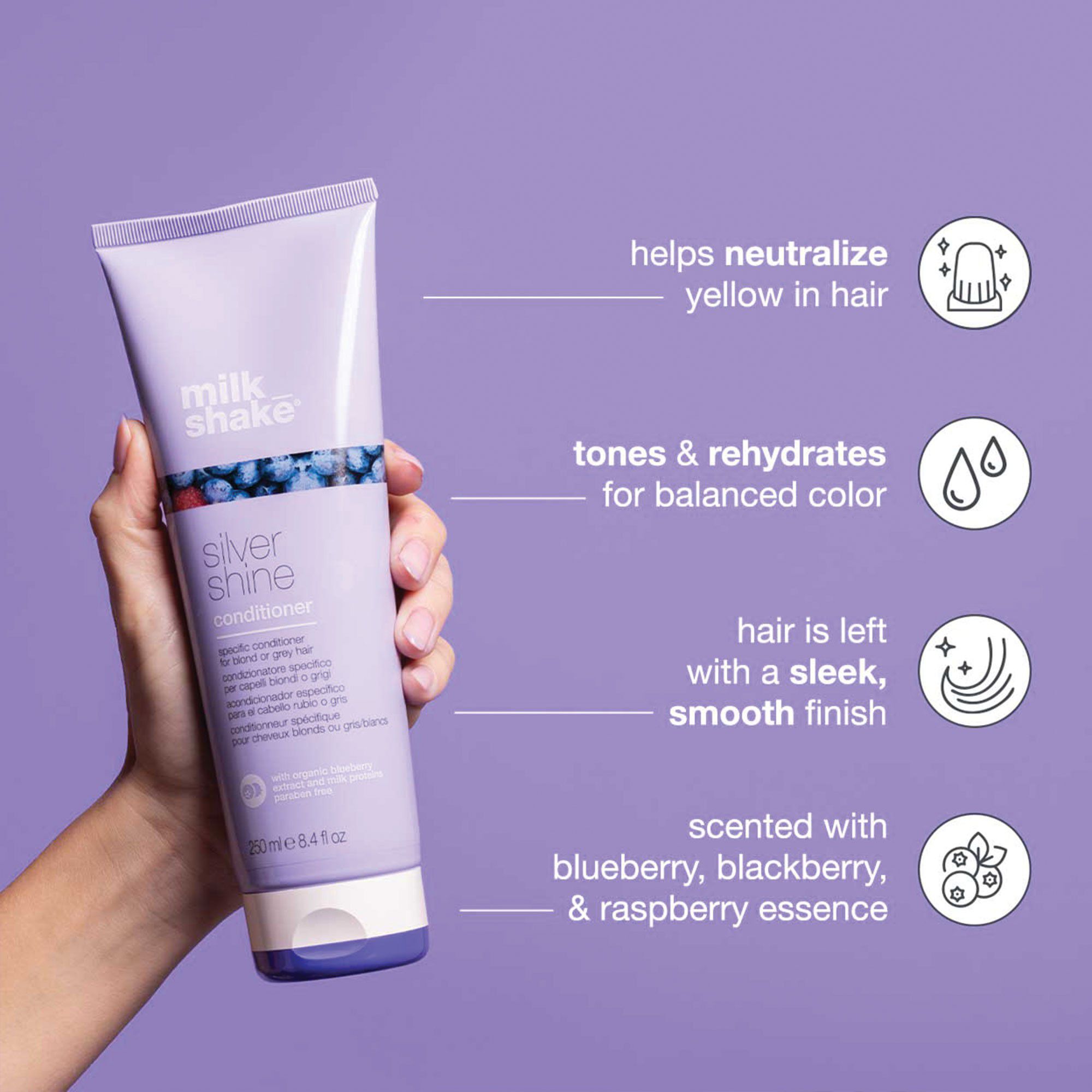 Silver Shine Conditioner